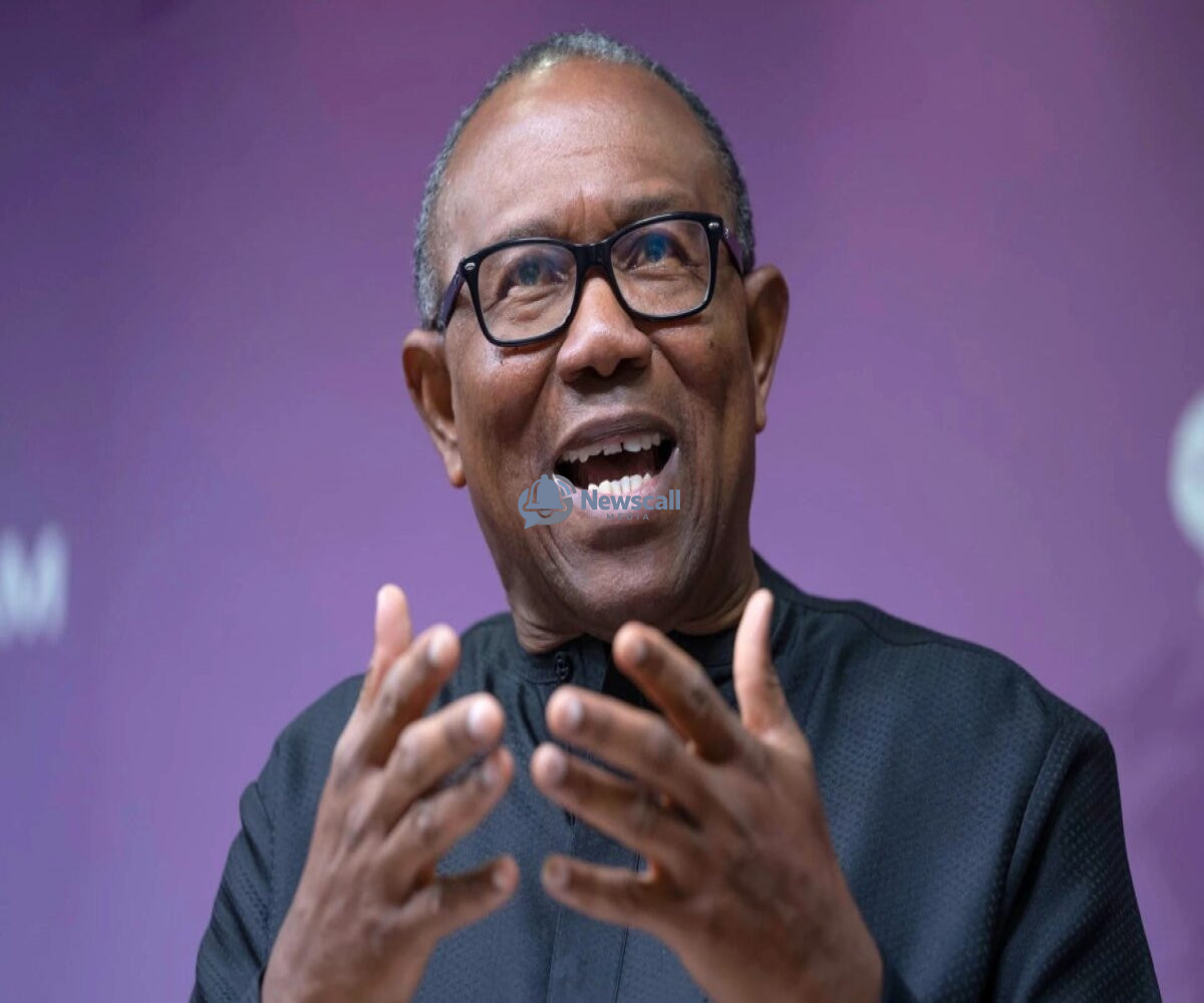 Politics2027: Presidency questions Peter Obi’s one-term promise