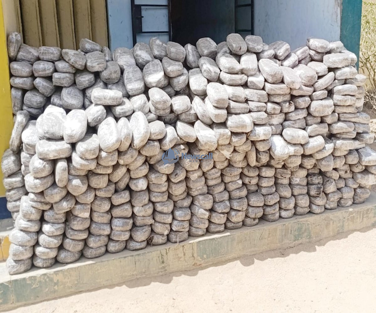 Kano: Police nab drug dealer, recover 879 parcels of cannabis sativa