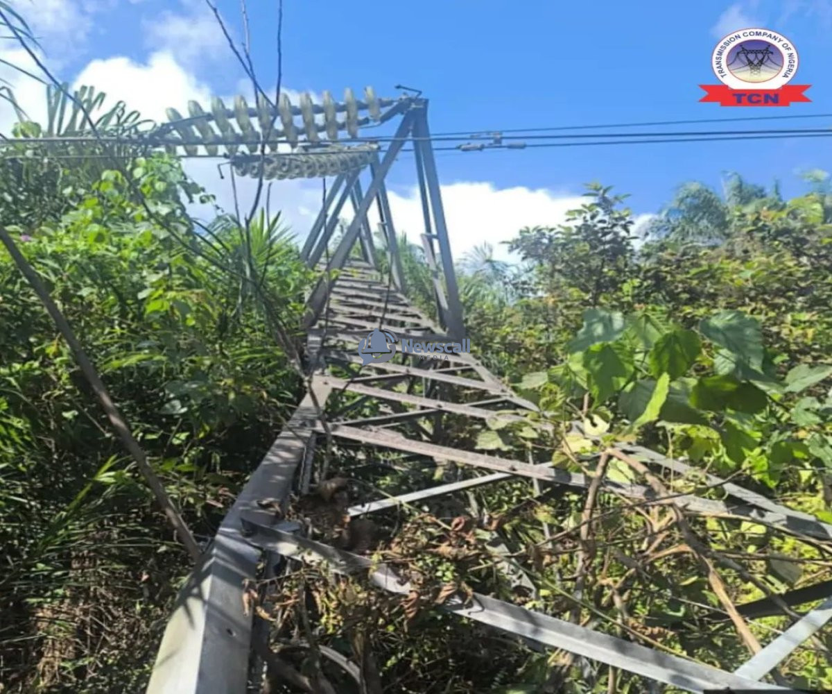 TCN reports 40 vandalism cases in five months