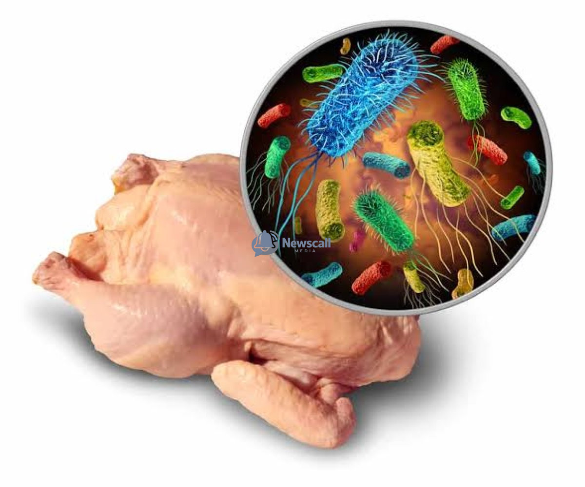 Salmonella outbreak hits again