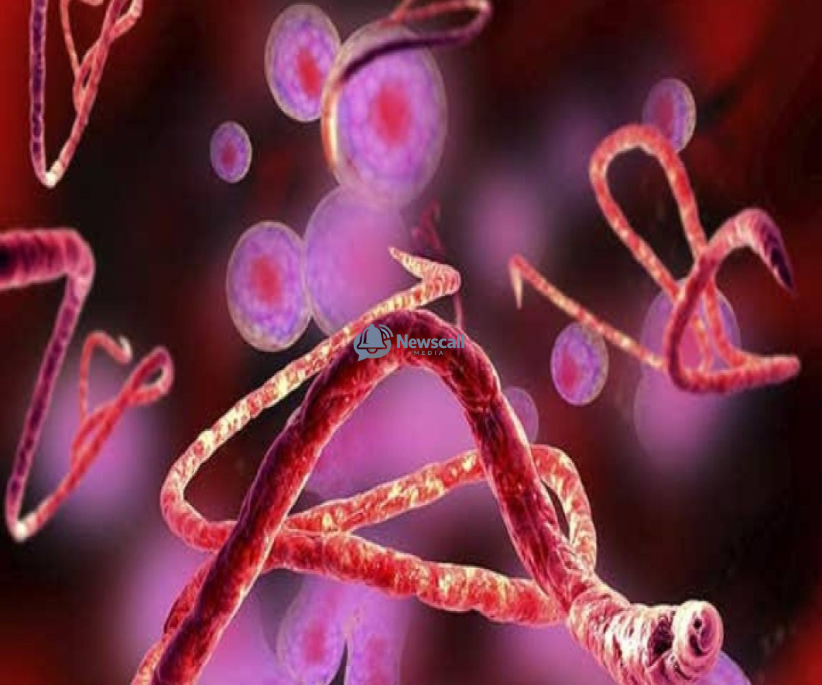 Ebola Outbreak Increase;Raises Global Health Concerns