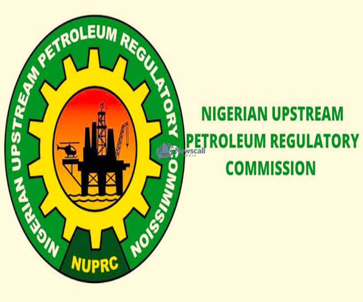 NUPRC Seeks Stronger Financial Backing to Accelerate Nigeria’s Gas Development
