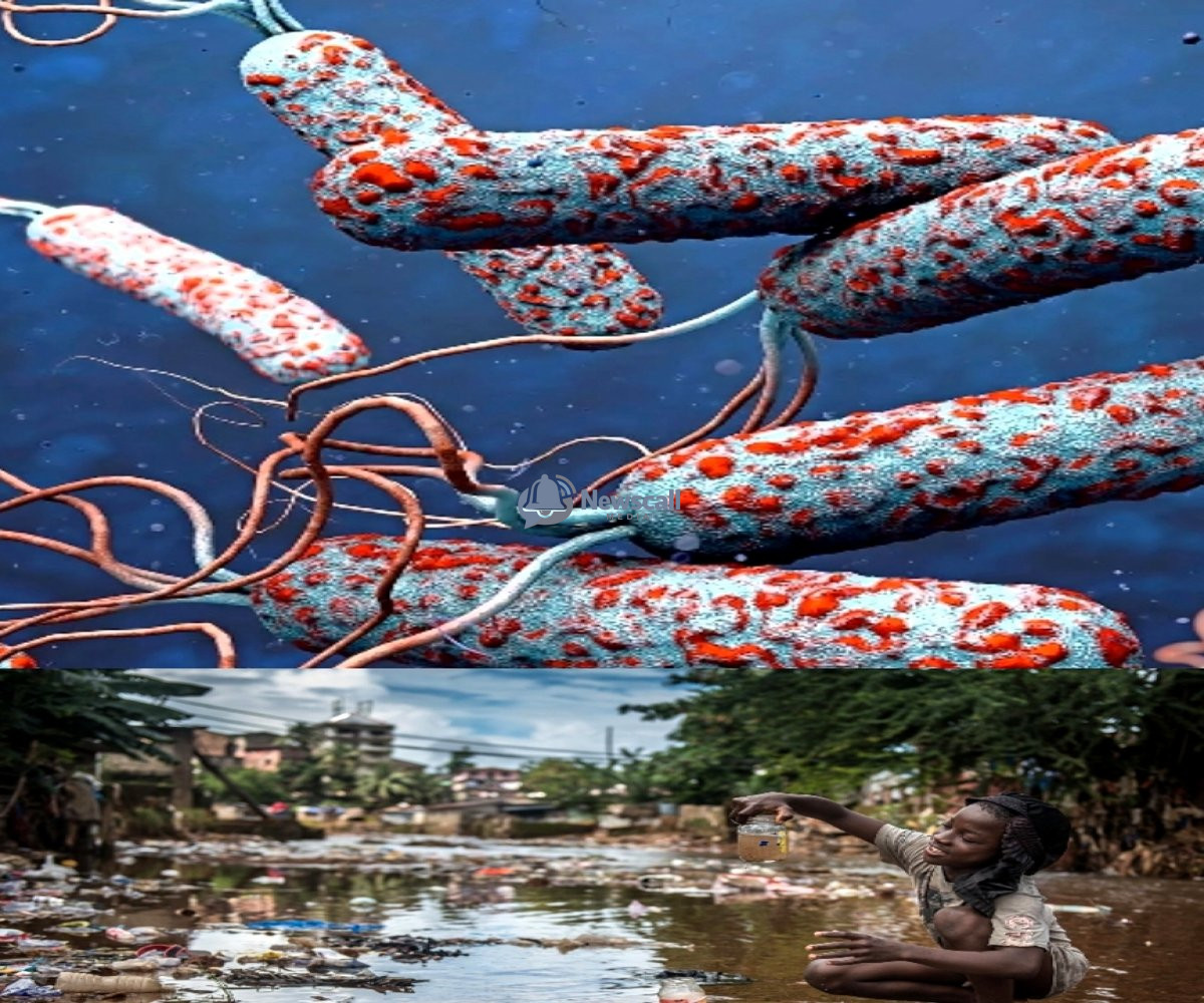 Plateau Cholera Outbreak; five dead, 11 cases confirmed