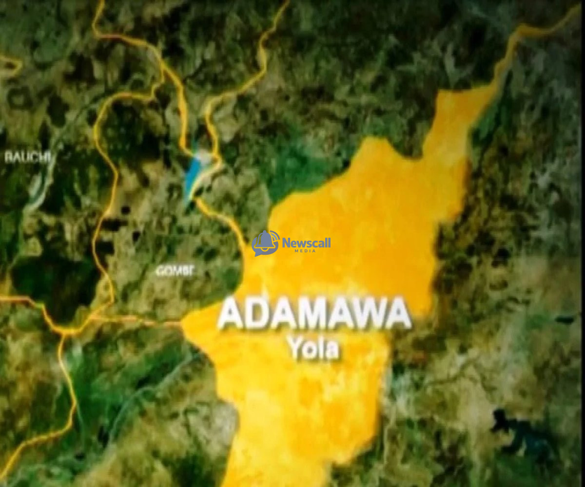 Police arrest suspect over abduction of three siblings in Adamawa