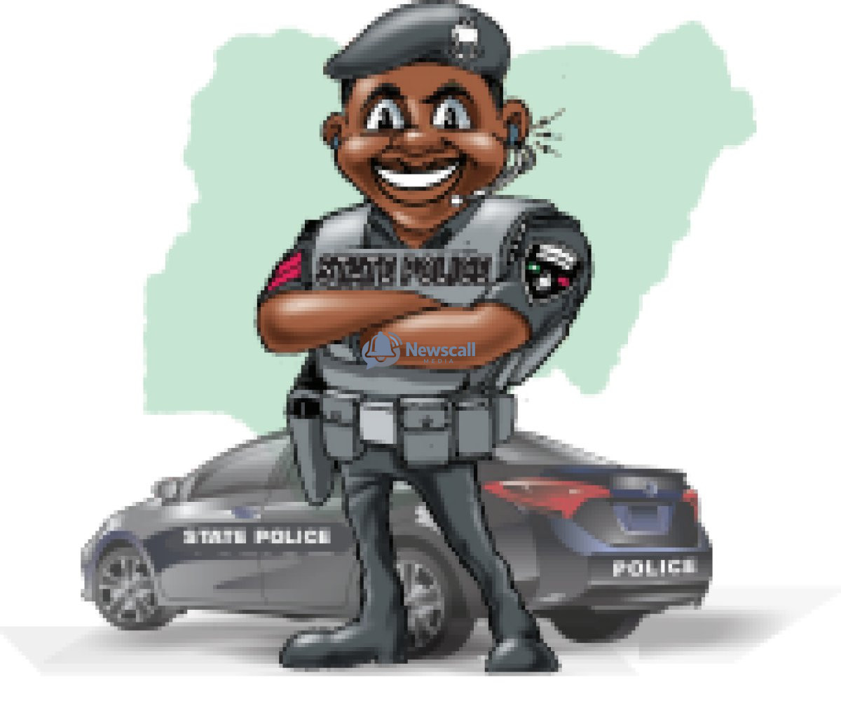 Governors Back State Police but Demand Strong Safeguards.