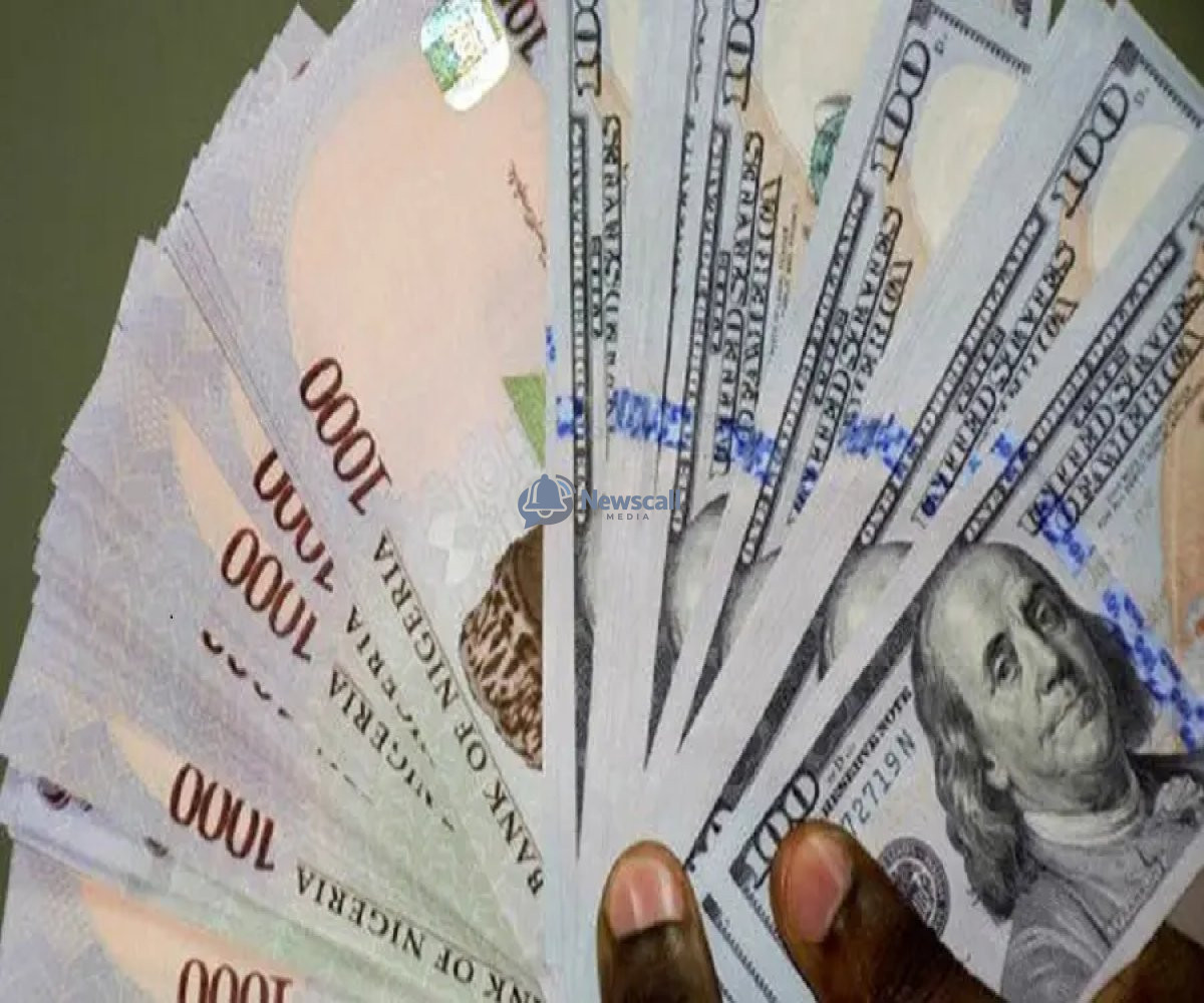 Nigeria’s foreign reserves reach 17-year high of $51.03bn amid Naira depreciation