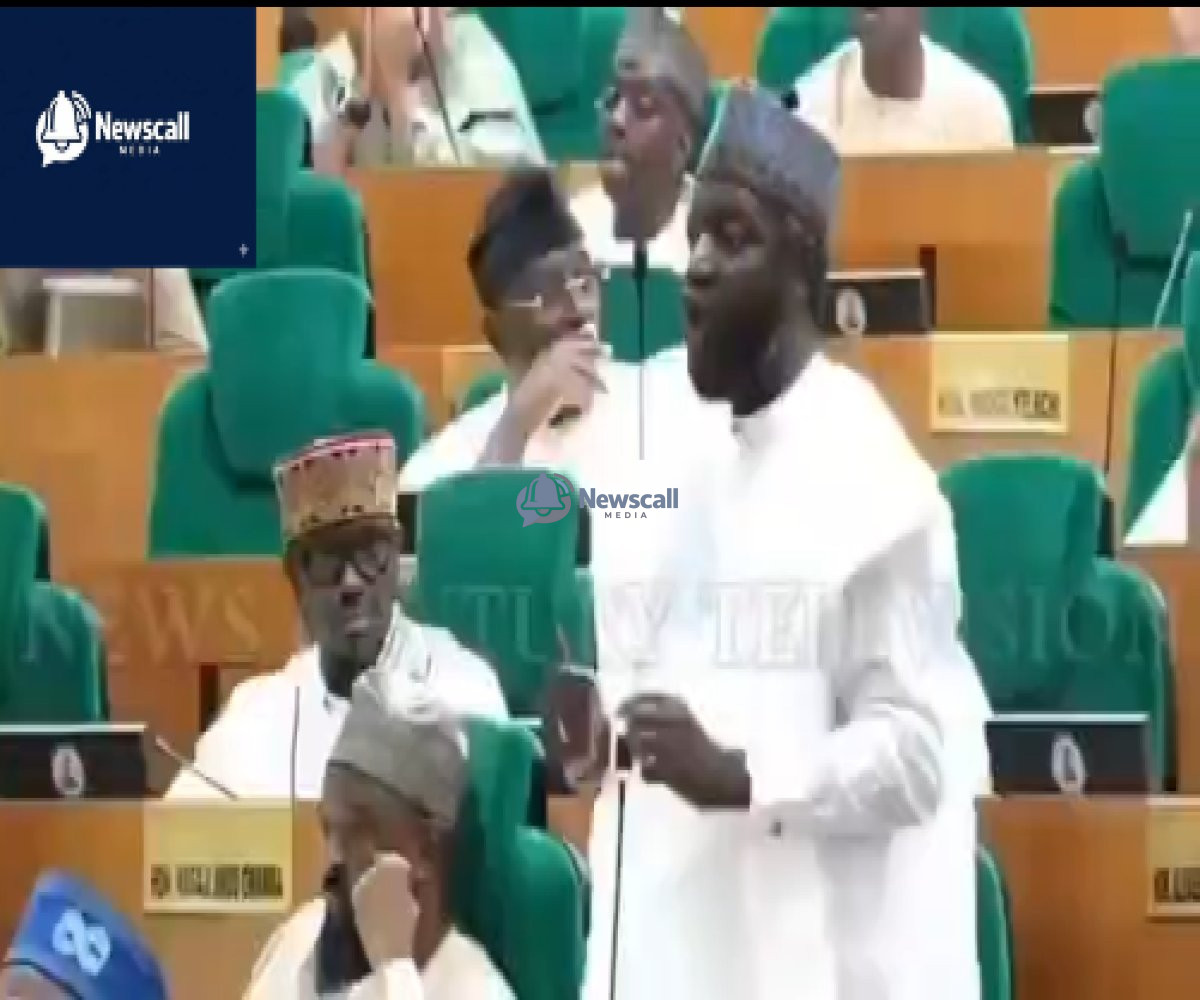 Dramatic Moments House Of Reps Members Knock Down Hon Gadgi