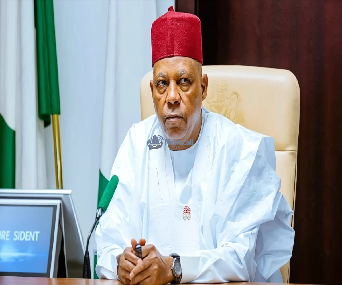 Tinubu Keeps Shettima as Running Mate for 2027, APC Allies Cheer