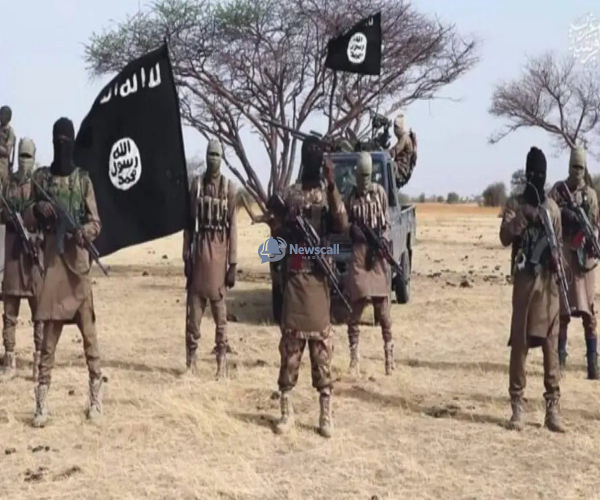 ISWAP wipes out top Boko Haram commanders in Borno ambush